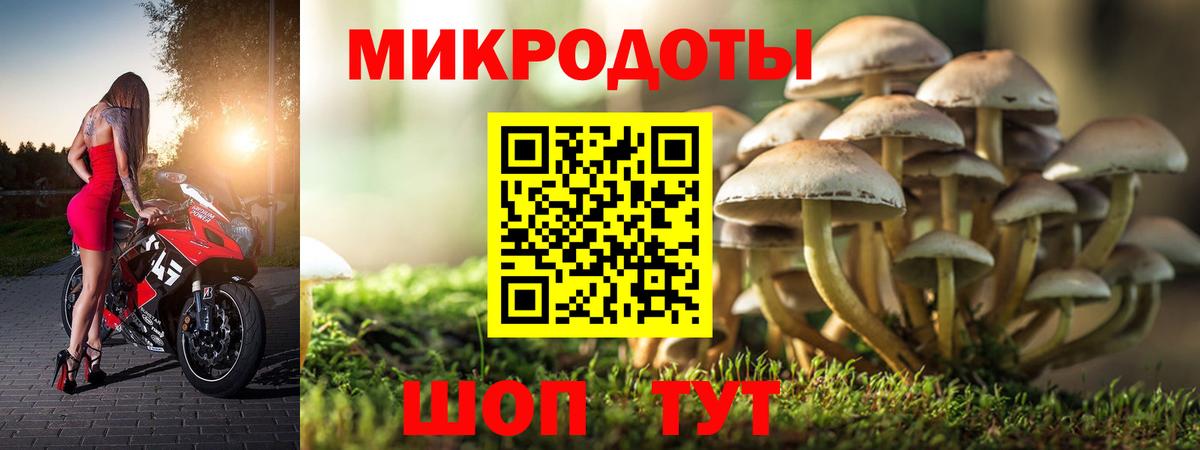 Биробиджан  Галлюциногенные грибы Cubensis  Галлюциногенные грибы Psilocybe  Вход с VPN 